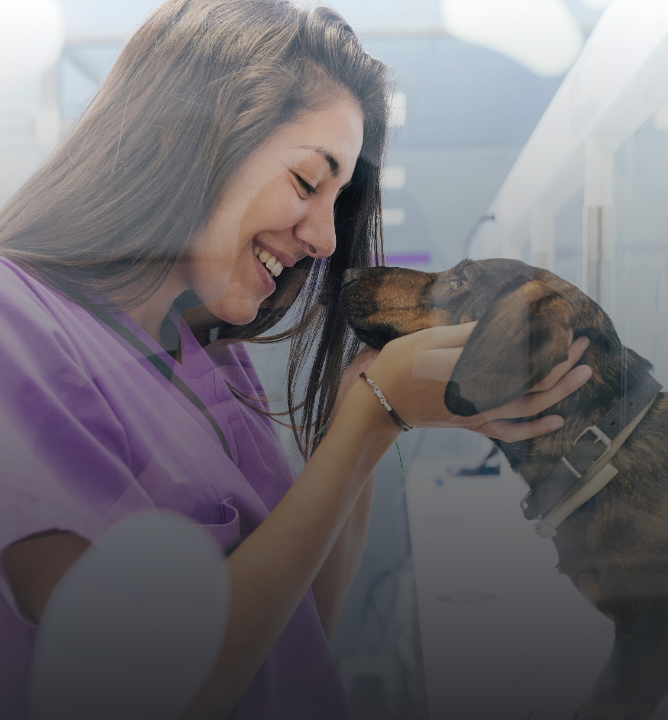 veterinarians hazardous drugs