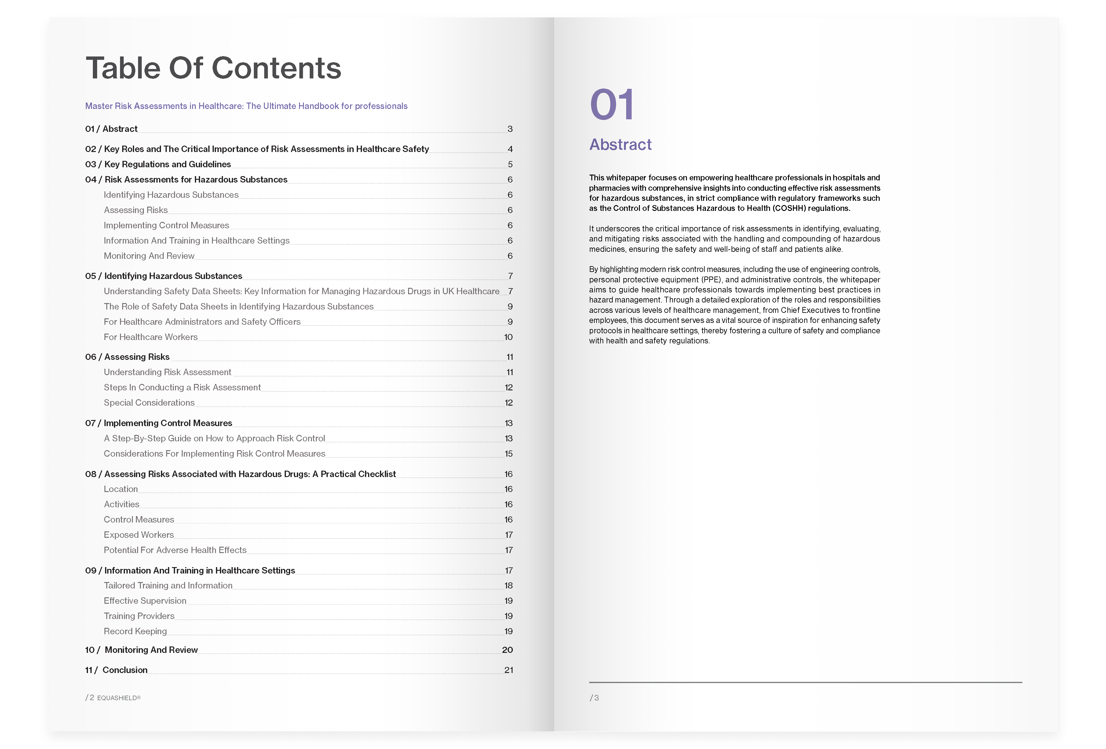 Page 1 'Master Risk Assessments in Healthcare' guide, showcasing safety and compliance strategies