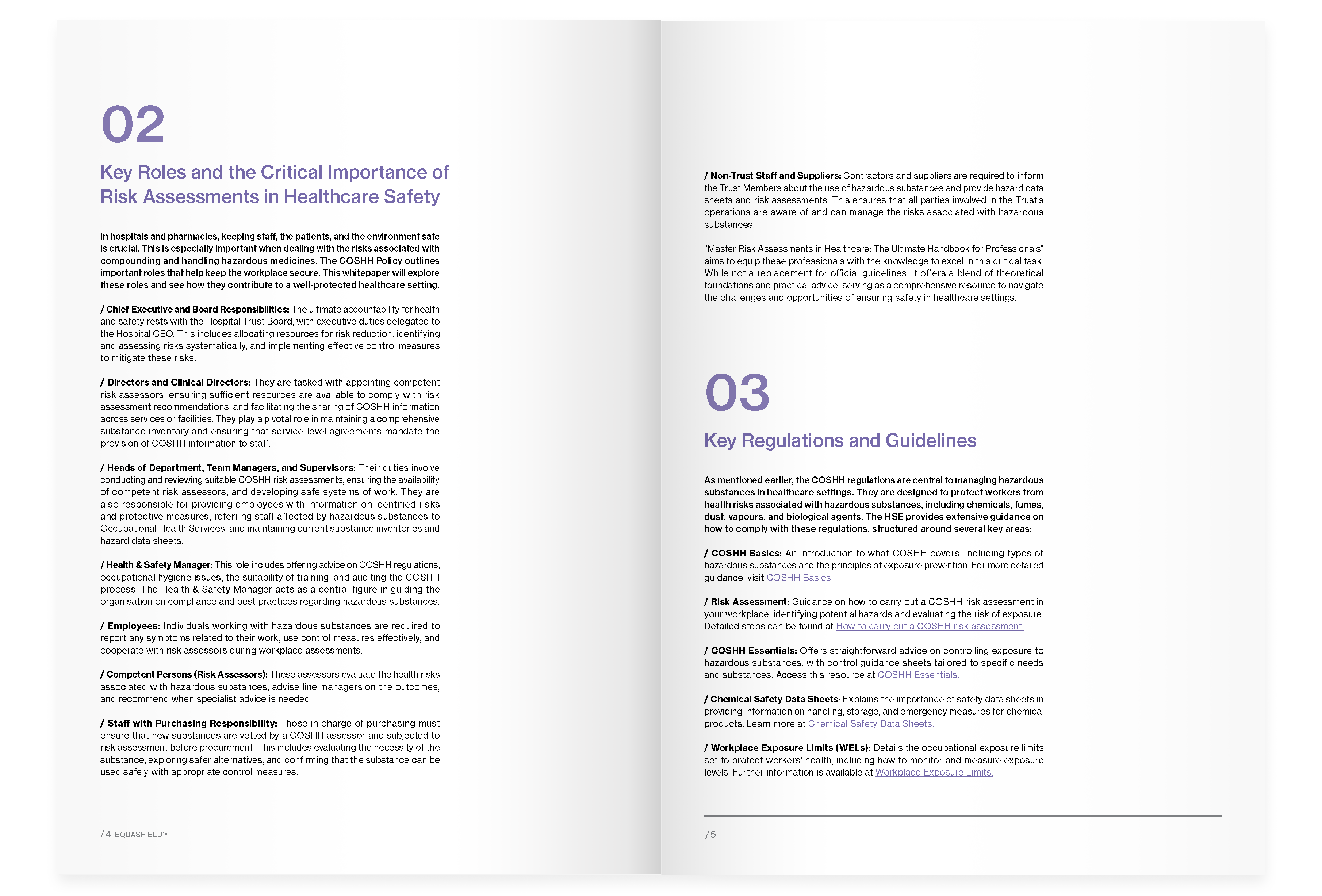 Page 2 'Master Risk Assessments in Healthcare' guide, showcasing safety and compliance strategies