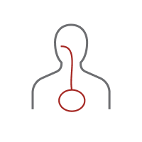oral icon